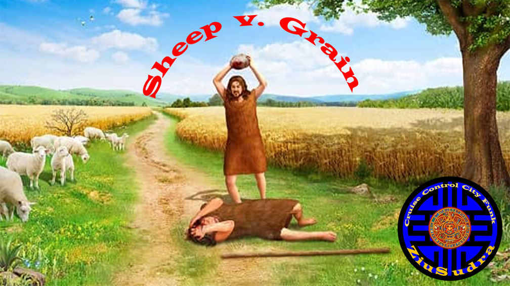 Sheep v Grain